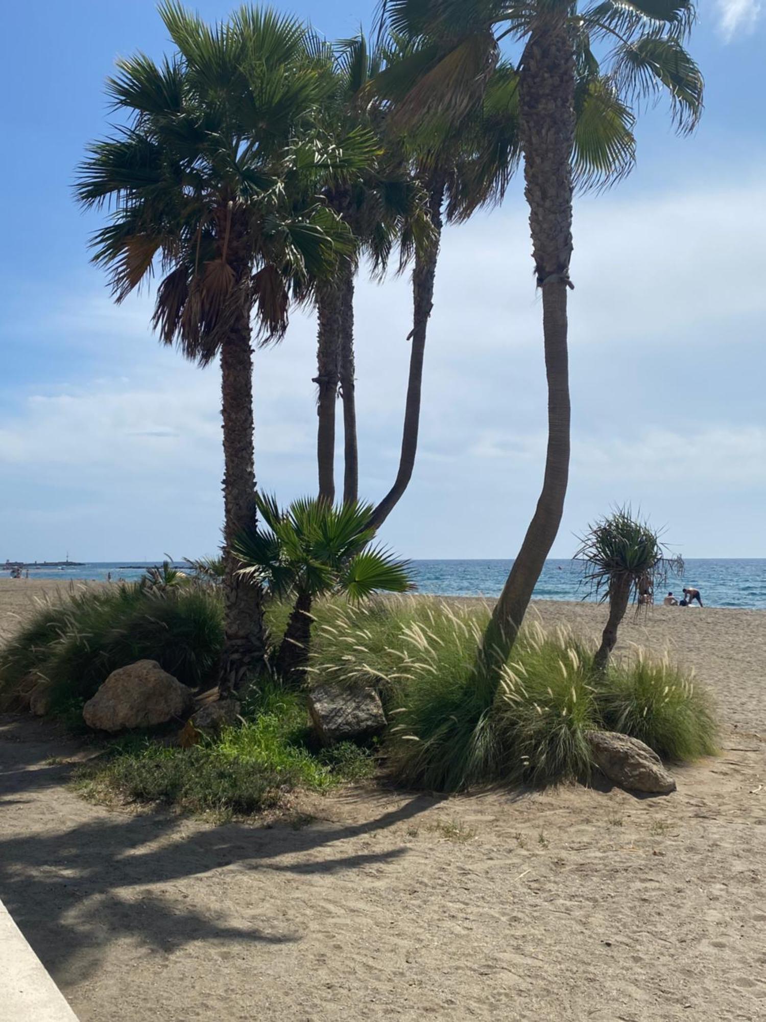Almeria Playa Zapillo ภายนอก รูปภาพ